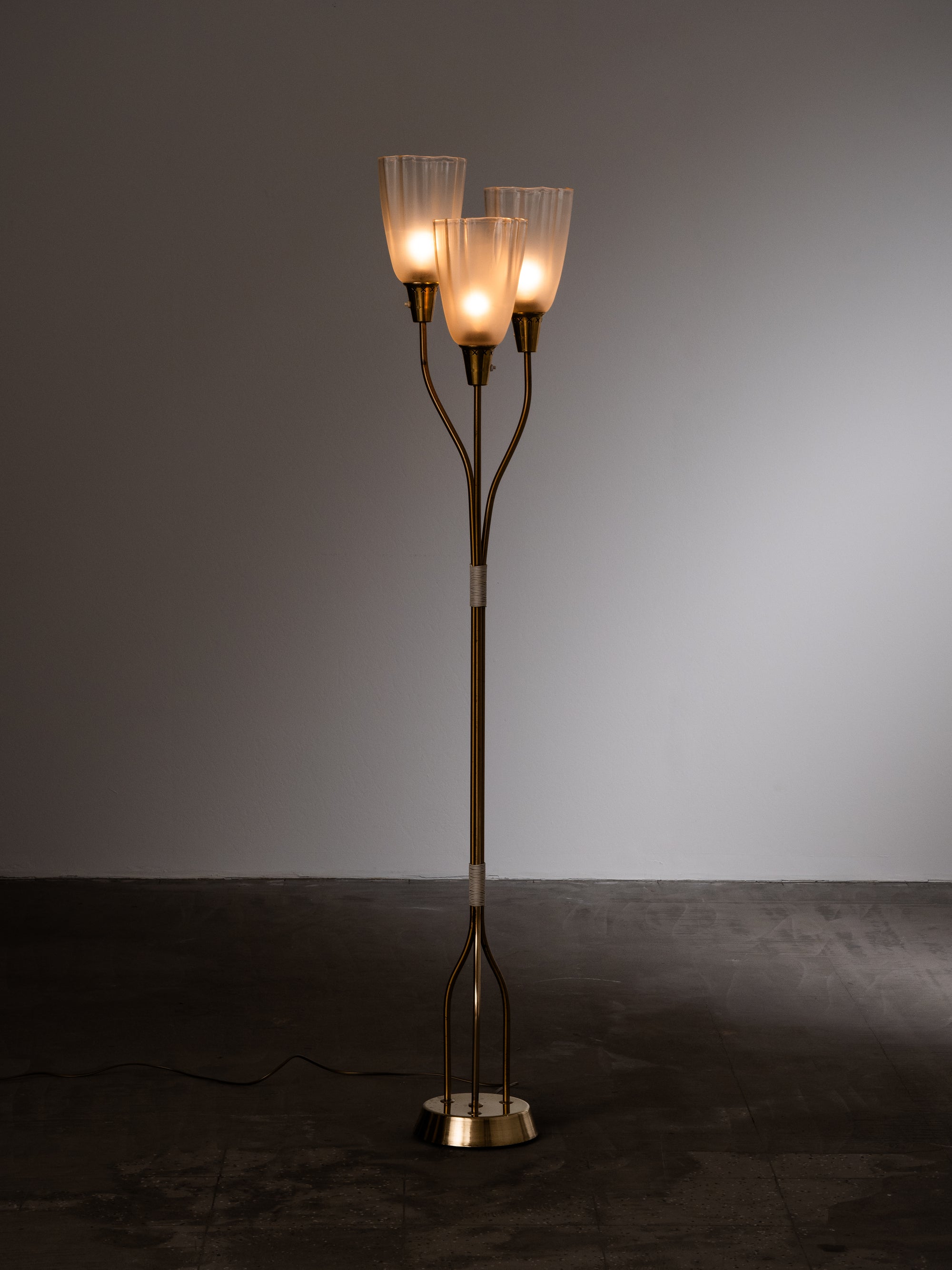 Mid-Century Modern Brass &amp; Frosted Glass Floor Lamp, Sweden, 1950s
