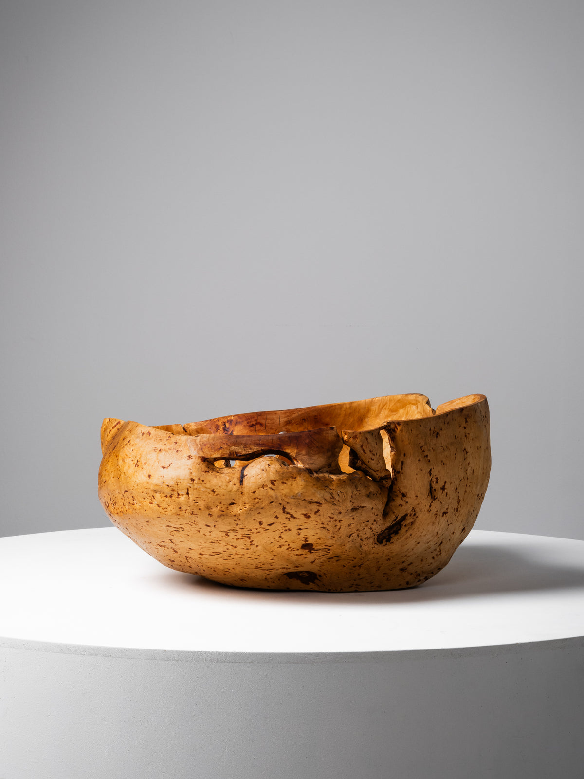 Massive Sculptural Birch Root Bowl, Finland, 1940s