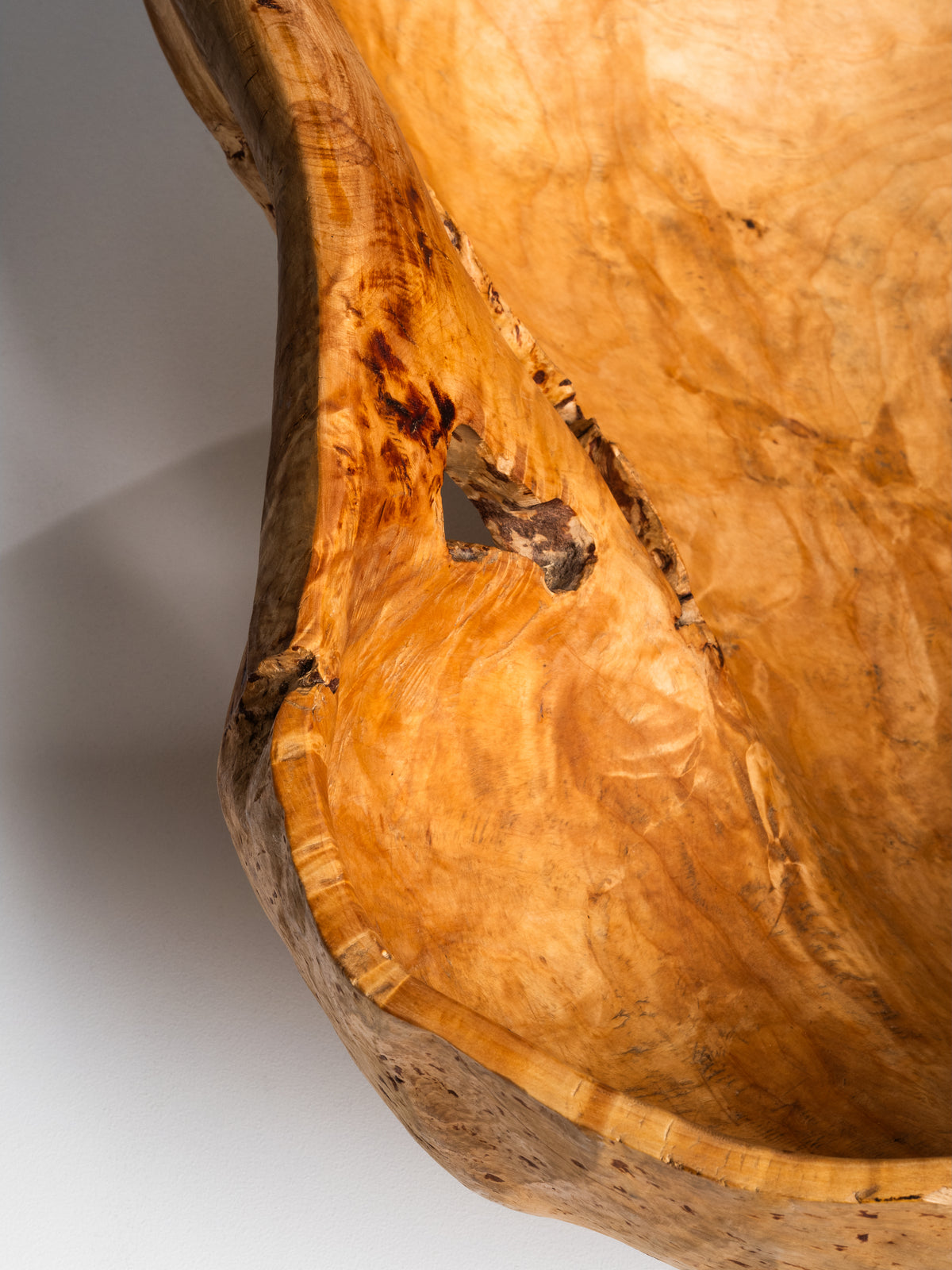 Massive Sculptural Birch Root Bowl, Finland, 1940s