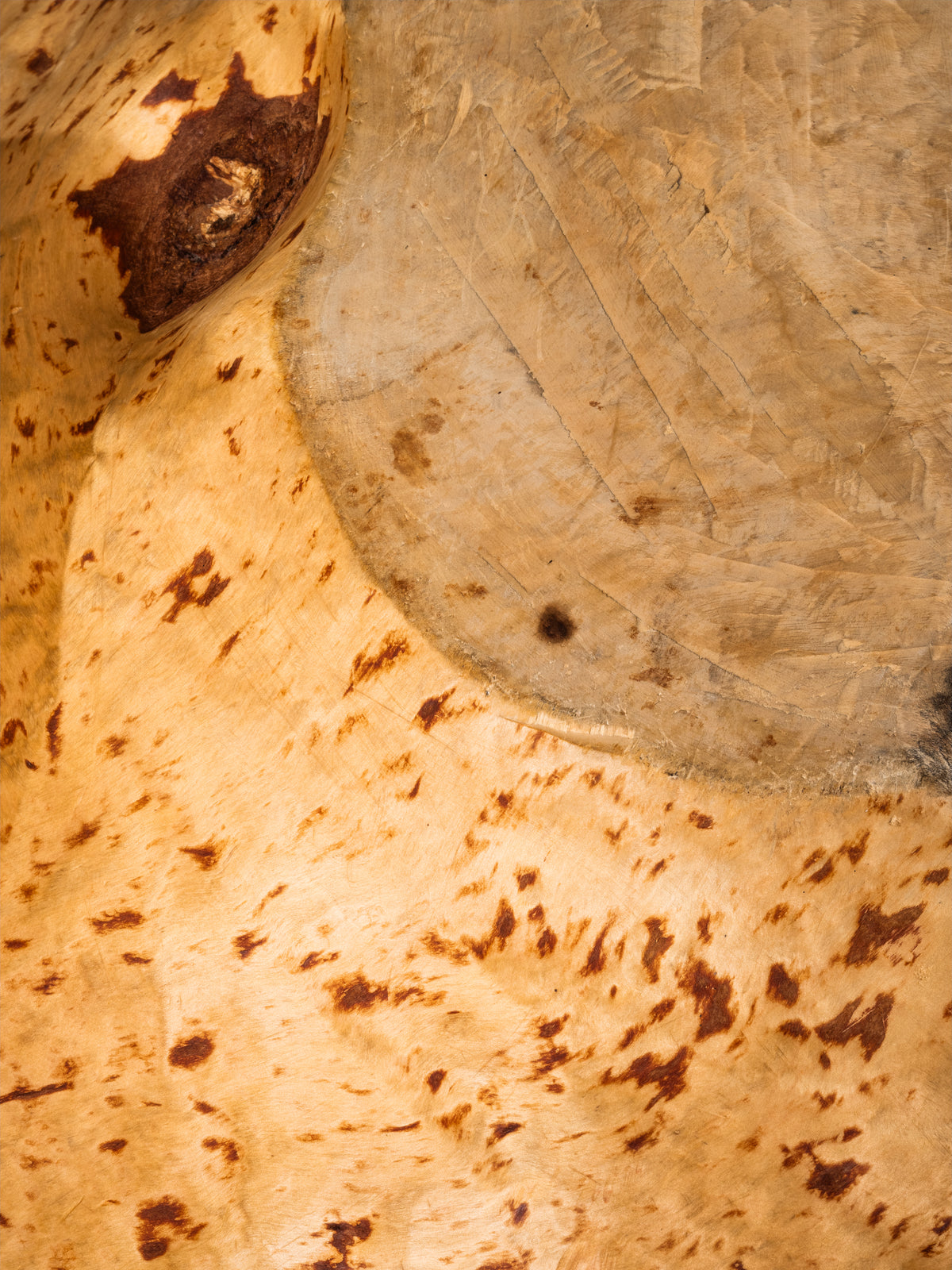 Massive Sculptural Birch Root Bowl, Finland, 1940s