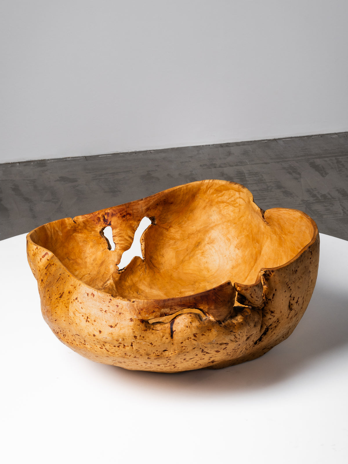 Massive Sculptural Birch Root Bowl, Finland, 1940s
