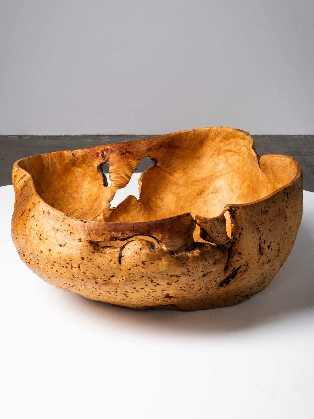 Massive Sculptural Birch Root Bowl, Finland, 1940s