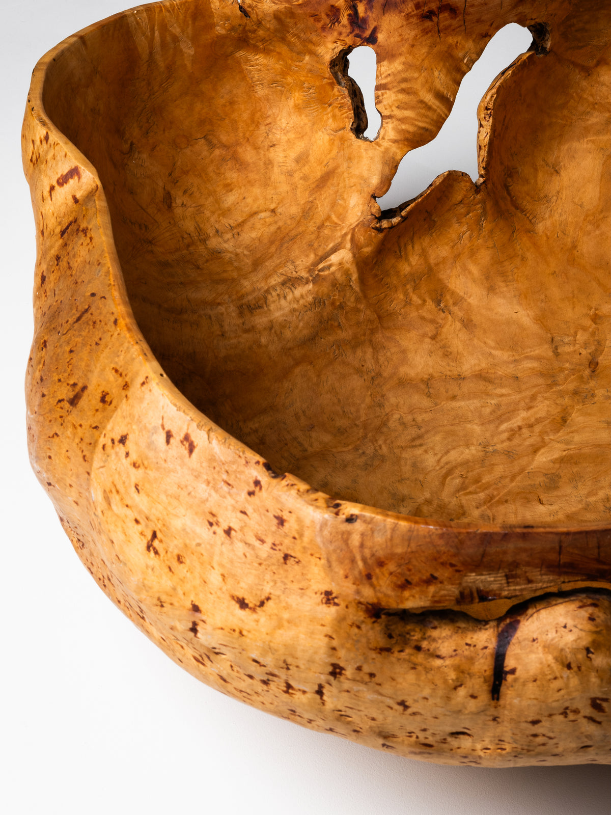 Massive Sculptural Birch Root Bowl, Finland, 1940s