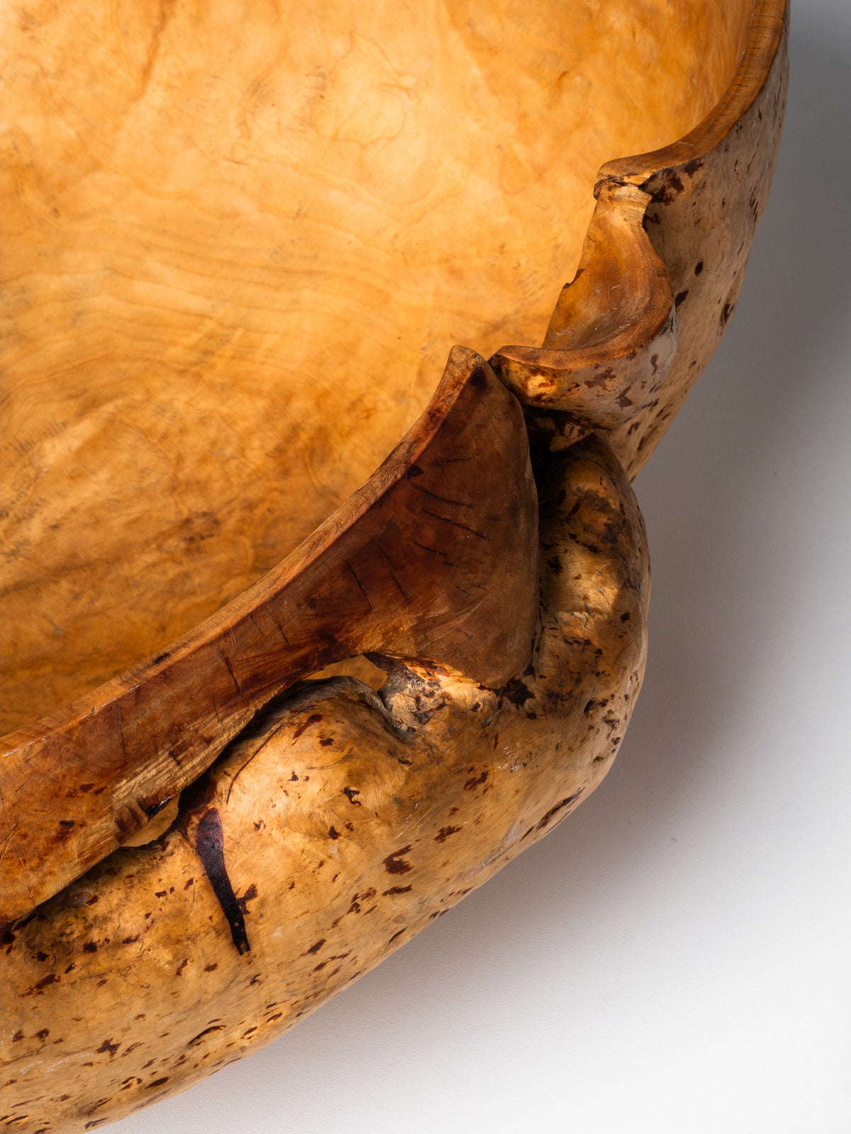 Massive Sculptural Birch Root Bowl, Finland, 1940s