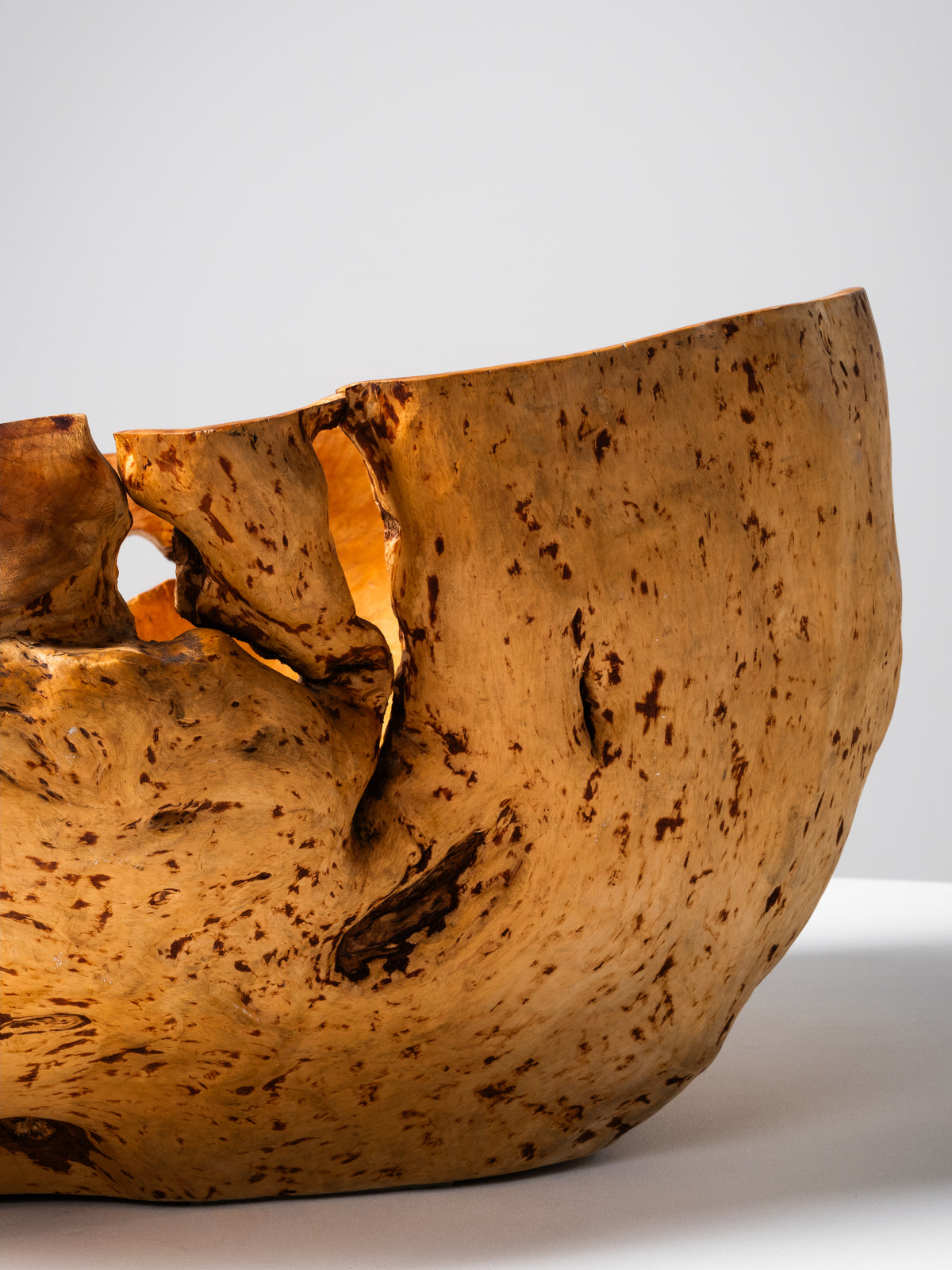 Massive Sculptural Birch Root Bowl, Finland, 1940s