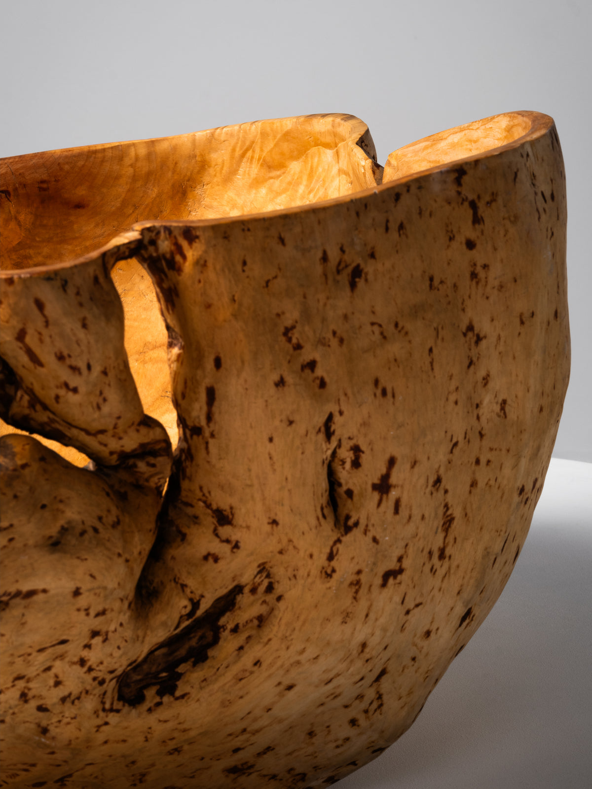 Massive Sculptural Birch Root Bowl, Finland, 1940s