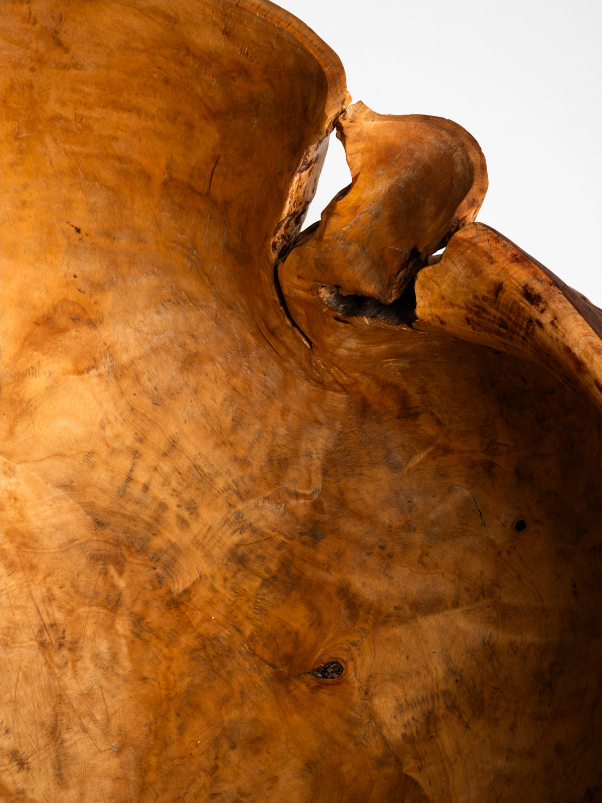 Massive Sculptural Birch Root Bowl, Finland, 1940s